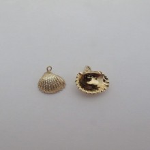 10 pcs Shells about 16-20mm