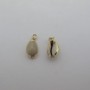 10 pcs coquillages environ 18-20mm