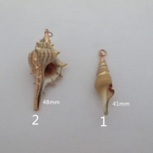 10 pcs seashell pendant