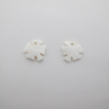 Mother of Pearl 13mm - 24 pcs