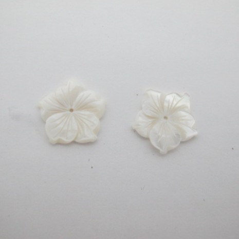 20 pcs nacre 20mm