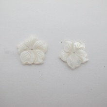 Mother of Pearl 20mm - 20 pcs