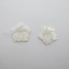 20 pcs nacre 20mm