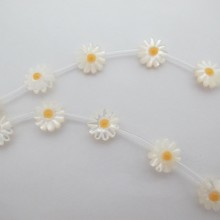 20 daisies 10mm mother of pearl
