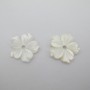 10 Pcs Flower Beads 20mm Mother-of-Pearl