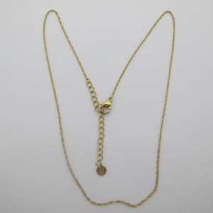 10 pcs Collier épaisseur 1mm - Longueur 42+5 cm