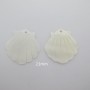 10 Mother-of-pearl shell