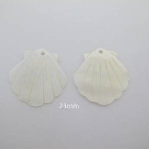 10 Mother-of-pearl shell