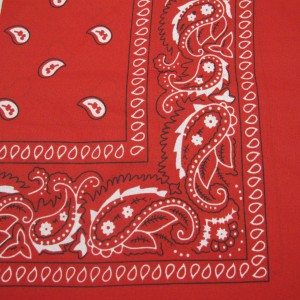 bandana 54x54cm