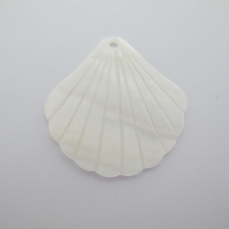 4 Mother-of-pearl shell 37mm