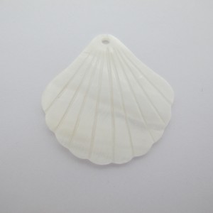 4 Mother-of-pearl shell 37mm