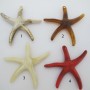 Pendentif Etoile de Mer en acryliques
