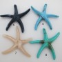 Pendentif Etoile de Mer en acryliques