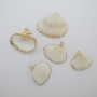 10 pcs coquillages environ 19-23mm