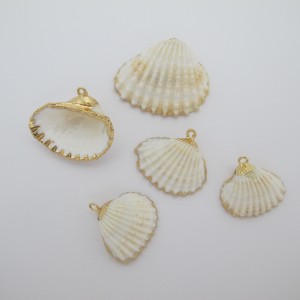 10 pcs Shells about 19-23mm