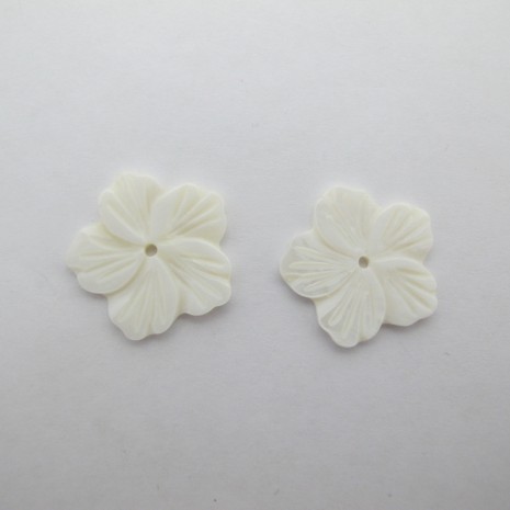 20 pcs nacre 20mm 20 pcs nacre 20mm