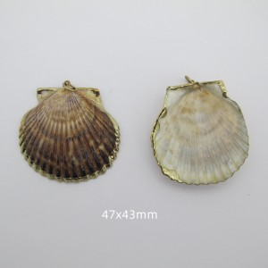 10 pcs pendentif coquillages