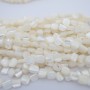 fil de 38cm Perles en nacre